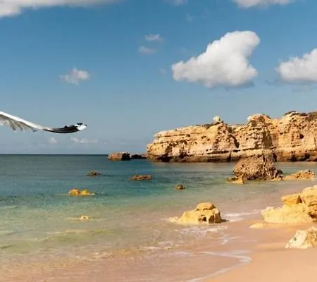 Espacoso T2, Em Olhos Agua * Albufeira